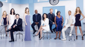 Grey's Anatomy ( season 14 )