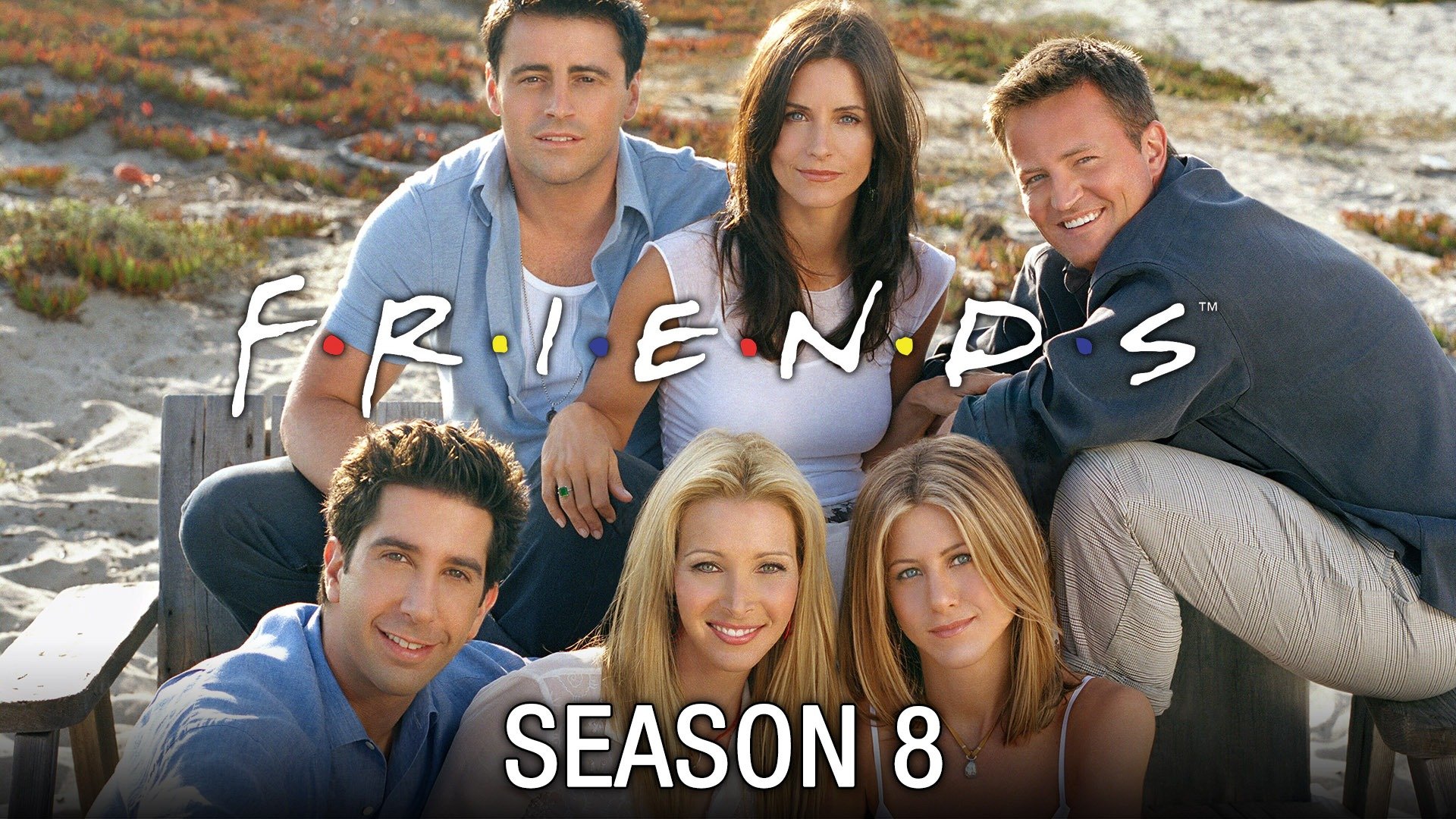 Friends - Season 8 (OLD)