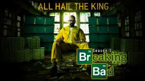 BREAKING BAD - SEASON 5