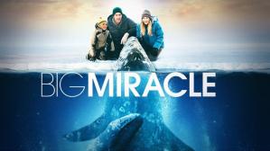 Big Miracle