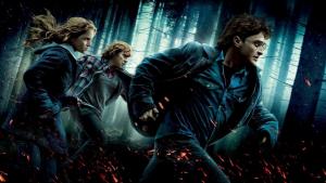 HARRY POTTER AND THE DEATHLY HALLOWS   PART 1