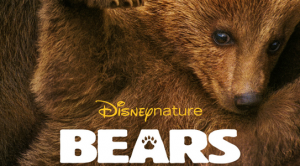 Bears (2014)