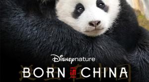 Born in China (2016)