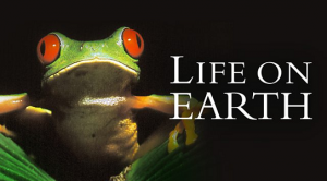 BBC life on earth 