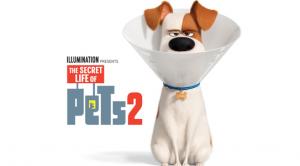 The Secret Life of Pets 2 (2019)