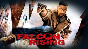 Falcon Rising