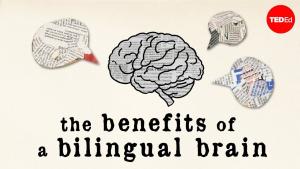 The benefits of a bilingual brain