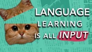 How to Learn a Language: INPUT (Why most methods don't work)