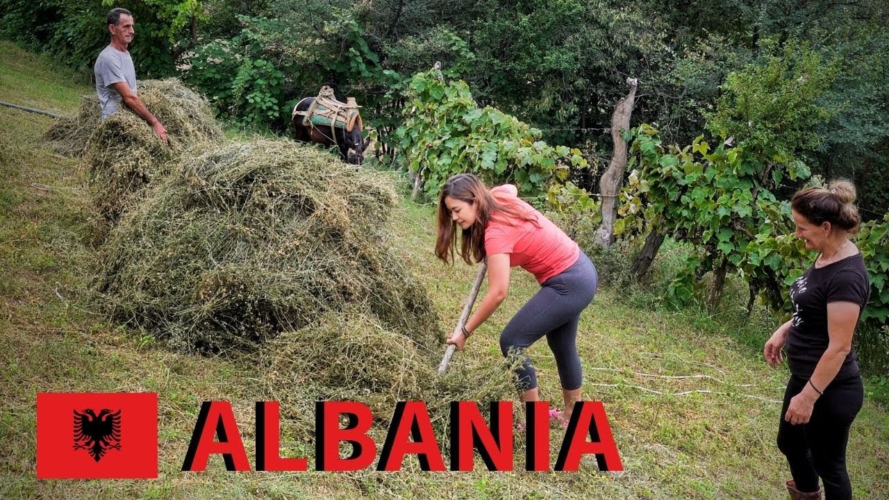 Village life in rural ALBANIA - traditional country life vlog in the Balkans [Ep. 2]